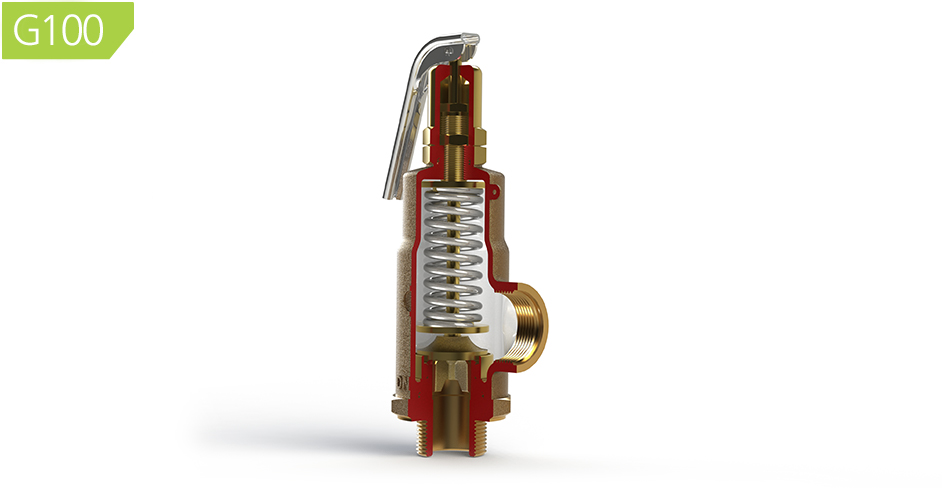G100 High Lift Safety Relief Valves